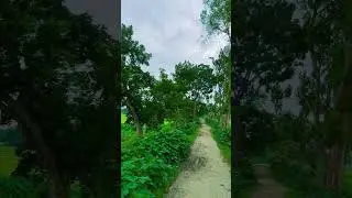 প্রকৃতিই শান্তি 🍃🌴🌱 