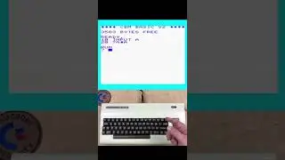 INPUT Command on Commodore VIC-20 