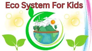 Eco System For Kids | kids education | eco system for kids | learning videos kids