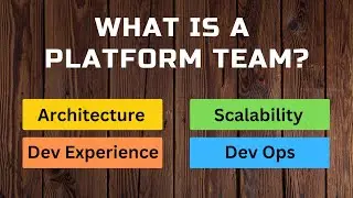 What is a Software Development Platform Team?