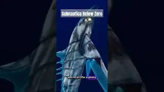 Хелицерат пустоты в Subnautica Below Zero 