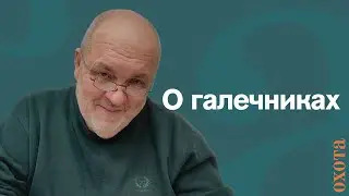 О галечниках поговорим? Валерий Кузенков о том, сколько нужно галечников и где их ставить.