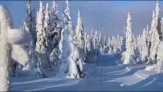 Linda Ulvaeus Hej, Mitt Vinterland ( 1980 )