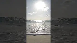 Sunbathing on Eagle Beach in Aruba #Shorts