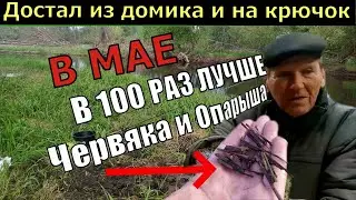 В МАЕ ВСЯ РЫБА КЛЮЁТ НА ЭТО! Дед сказал это лучшая наживка для рыбалки на карася