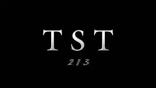 TST 213 - [Lyrics]