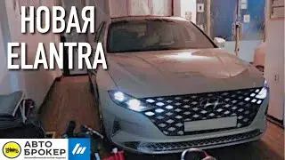 НОВАЯ HYUNDAI ELANTRA - УЖЕ?! КОРОНАВИРУС АТАКУЕТ! / FastaNews #8