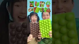 Green Food VS Brown Food Challenge ASMR🪴💩