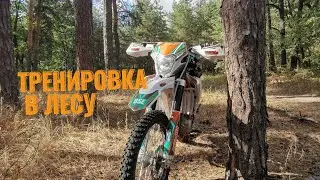 тренируемся в лесу на bse z6