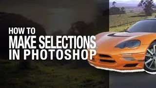 Basic Selections in Adobe Photoshop