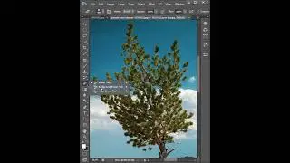 fast way to cut out tree in second - photoshop tutorial 