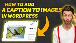 How to Add a Caption to Images in WordPress - Super Easy 2024 🔥🔥🔥