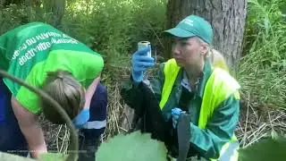 Канализационные стоки попали в реку Авлога возле поселка Заводской