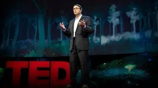 How will we survive when the population hits 10 billion? | Charles C. Mann