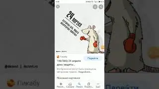 Спасём животных от их защитников. 24