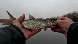 ДОЖДЬ НЕ ПОМЕХА кому рыбалка кому отдых  