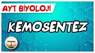 AYT Biyoloji | Kemosentez 