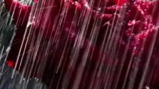 #Стих.  Я и дождь.Автор Олейник Татьяна.