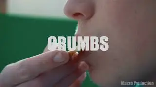 Crumbs (preview)