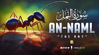 Peaceful recitation of Surah An-Naml سورۃالنمل | Relaxing Soft Voice | Zikrullah TV
