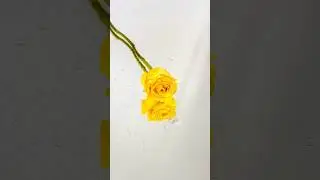 La belleza minimalista en una fotografía 🌼🪞📷