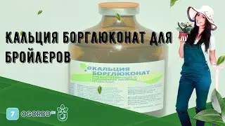 Кальция борглюконат для бройлеров