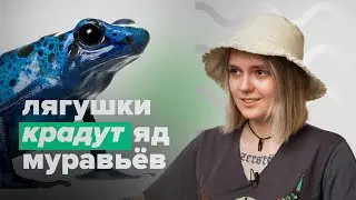 10 ГЛУПЫХ вопросов владельцу ЛЯГУШЕК!