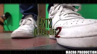 AntZ 2 (FULL VIDEO)