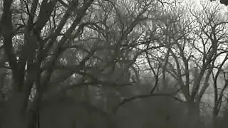 DTI 3/25 Thermal Imaging Camera - Geese, Turkeys and Deer