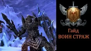 Гайд Воин страж //Neverwinter online Мод.11