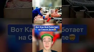 Вот Как Всё Работает на Самом Деле!🤯 #shorts #рыба #факты