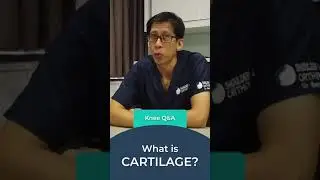 What is Cartilage?