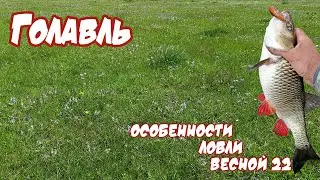 Весенний день на голавлёвой реке | РЫБАЛКА на ГОЛАВЛЯ