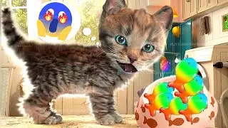FUNNY CATS CUTE LITTLE KITTEN ADVENTURE -  CUTE ANIMATED KITTY FRIENDS 