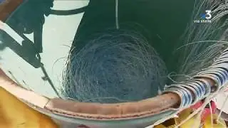 A la pêche au thon rouge au large de Bastia