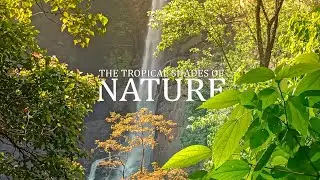 The Tropical Shades of Nature | Sri Lanka Cinematic Travel Video | Shot on Mobile