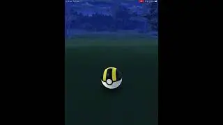 WILD 2000+ DRAGONITE!!!