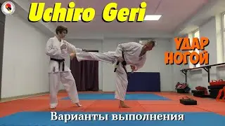 Ushiro Geri. Удар ногой и варианты выполнения.