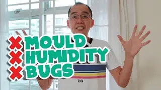 How to Remove Mould Humidity Tiny Wall Bugs in High Humidity Homes