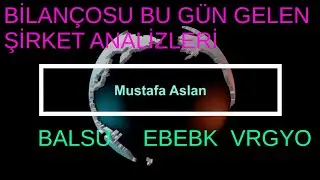 BALSU EBEBK VRGYO YENİ GELEN BİLANÇO ANALİZLERİ