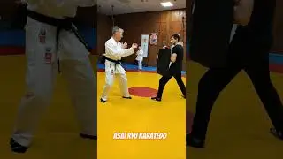 Объяснение техники Ushiro yoko geri. Asai Ryu karatedo. 