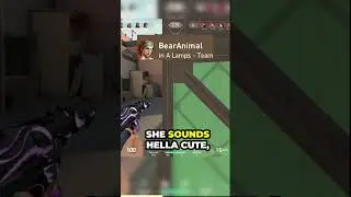 The Valorant Experience