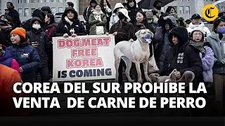 Corea del Sur aprueba ley para PROHIBIR el COMERCIO Y CONSUMO de CARNE DE PERRO | El Comercio