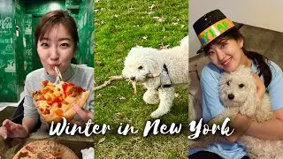 NYC Vlog ep.10 | New Year Eve🥳 • Harlem Church • Central Park • L’Industrie Pizzeria🍕