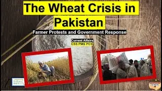 The Wheat Crisis in Pakistan: Farmer Protests and Government Response