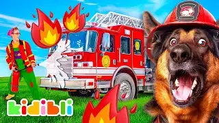 Fire-fighting Dogs Compilation for Kids | Educational Videos For Children | Kidibli