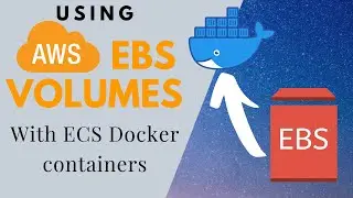 Using AWS EBS Volumes With ECS Docker Containers