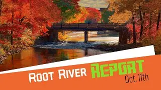 Root River Report October 11th, 2024