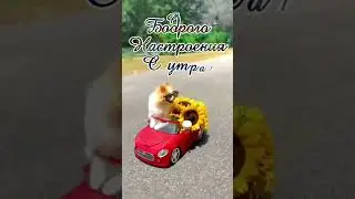 С добрым утром!