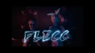 DESINGERICA BEZ PLJUGICE - FLECC
